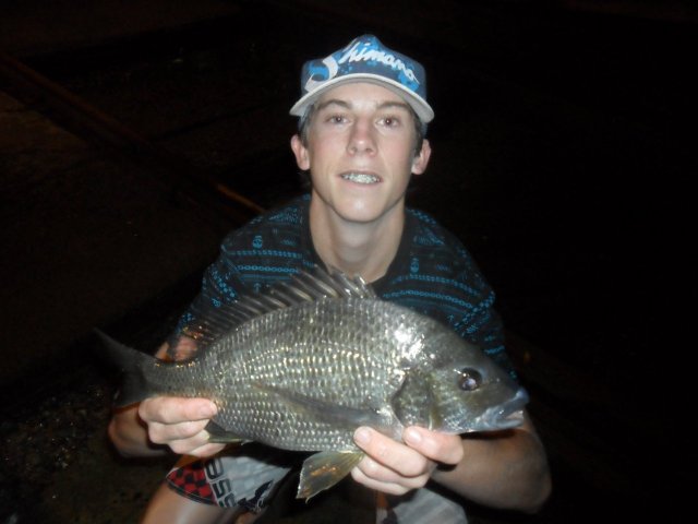 swan bream